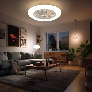 Ceiling Fans with Lights- Low Profile Ceiling Fan with Light 22" LED Dimmable Ceiling Fans with Remote Control,Smart 3 Light Color and 6 Speeds 8 Blades