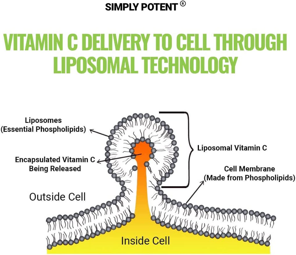 Liposomal Vitamin C 1200Mg, 180 Vit C Capsules, Stronger Supplement than Liposomal Vitamin C 1000Mg or Vitamin C 500Mg, High Dose Ascorbic Acid Vitamin C Antioxidant for Collagen Immune Support Heart