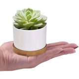 Succulent Planter ZOUTOG White Mini 3.15 inch Ceramic Flower Planter Pot with Bamboo Tray Pack of 4 (Plants NOT Included) pattanaustralia