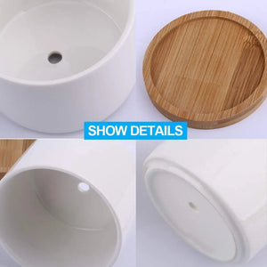 Succulent Planter ZOUTOG White Mini 3.15 inch Ceramic Flower Planter Pot with Bamboo Tray Pack of 4 (Plants NOT Included) pattanaustralia