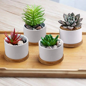 Succulent Planter ZOUTOG White Mini 3.15 inch Ceramic Flower Planter Pot with Bamboo Tray Pack of 4 (Plants NOT Included) pattanaustralia