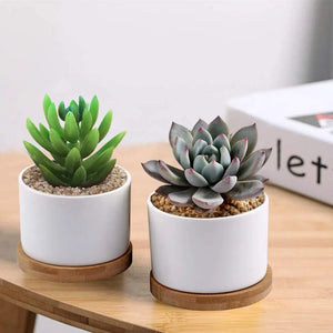 Succulent Planter ZOUTOG White Mini 3.15 inch Ceramic Flower Planter Pot with Bamboo Tray Pack of 4 (Plants NOT Included) pattanaustralia