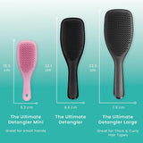 Wet Detangler Hairbrush - Liquorice Black