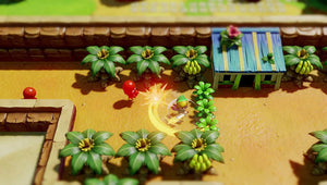 The Legend of Zelda Links Awakening -  Switch